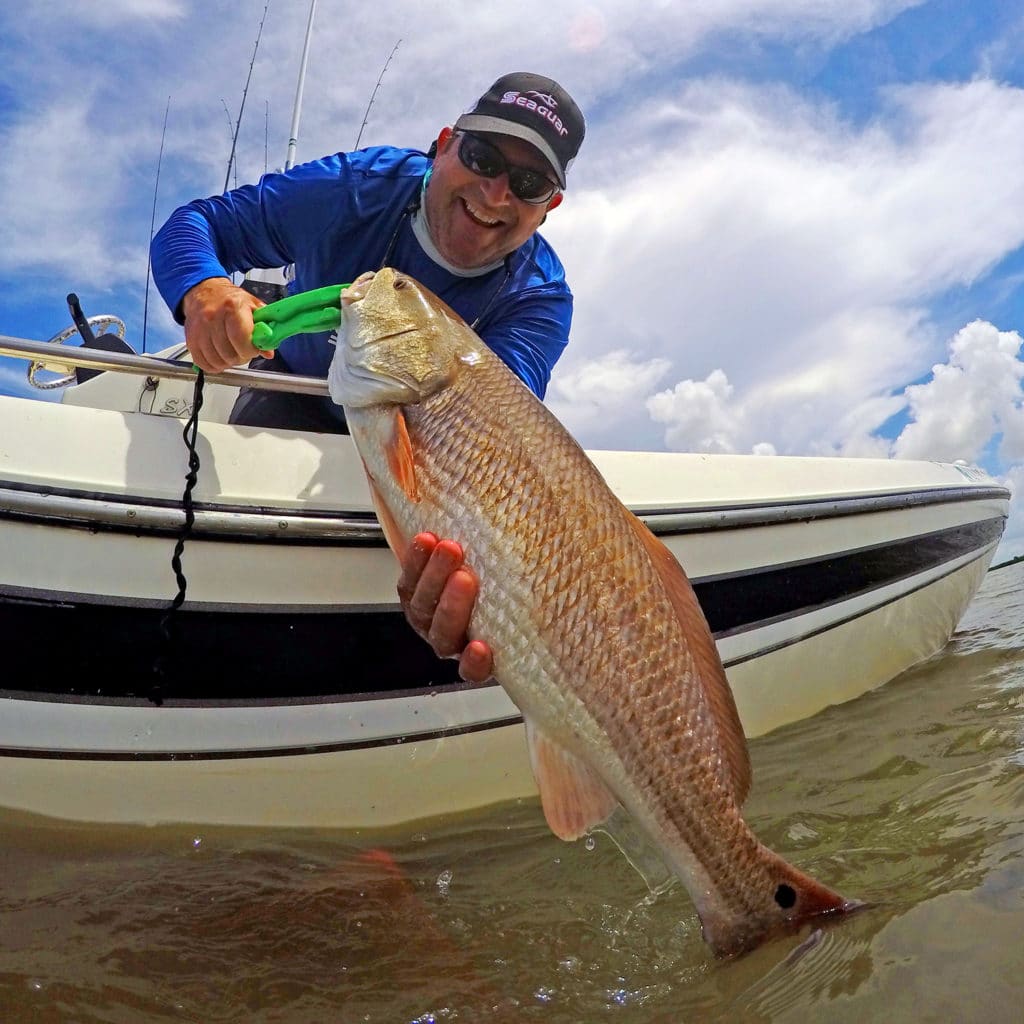 Louisiana redfish boatside