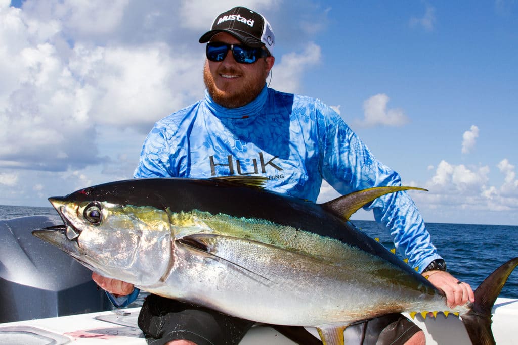 yellowfin tuna