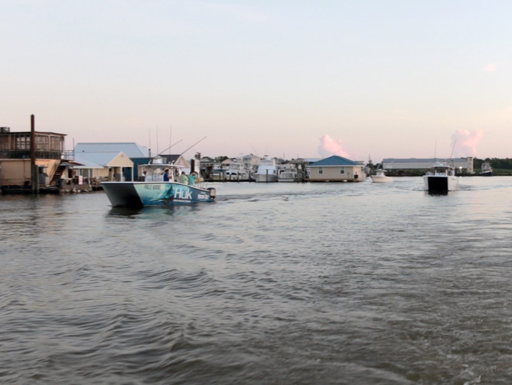 Venice Marina