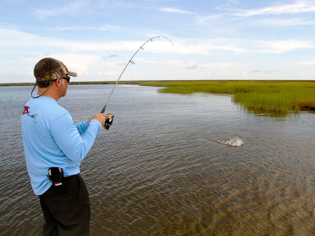 Louisiana marsh fishing