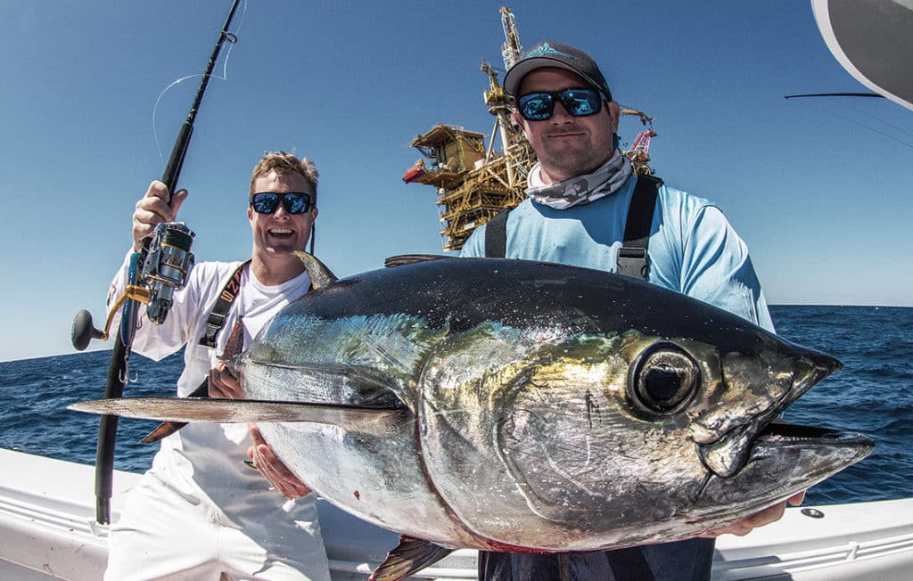 Gulf yellowfin tuna catch