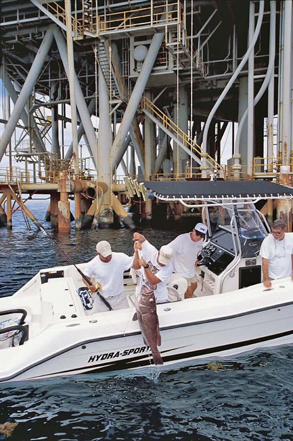 Grouper Louisiana Fishing photo