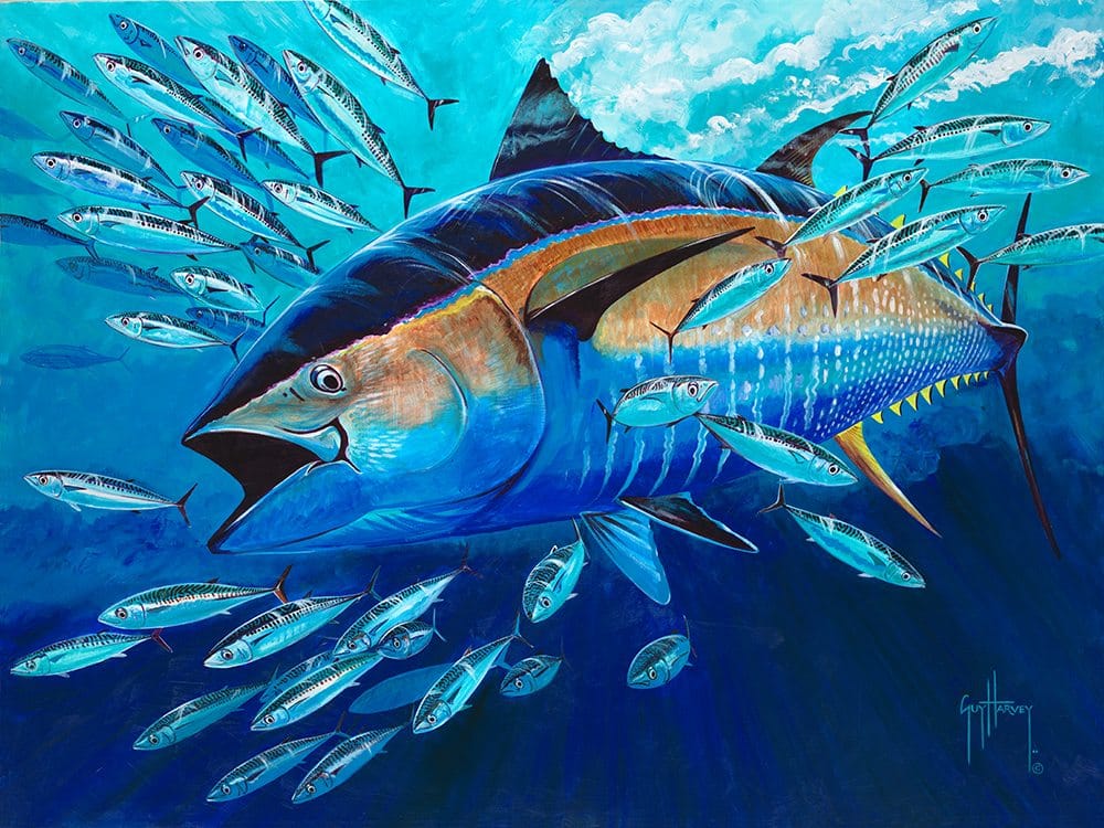Guy Harvey painting mackerel run down