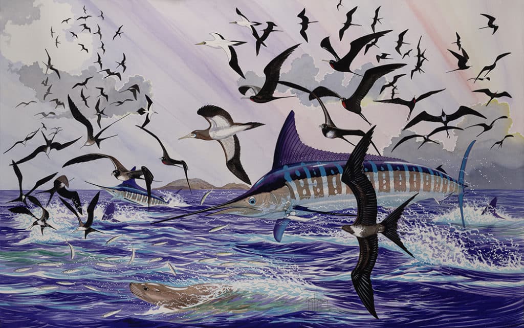 Guy Harvey painting mag bay magic