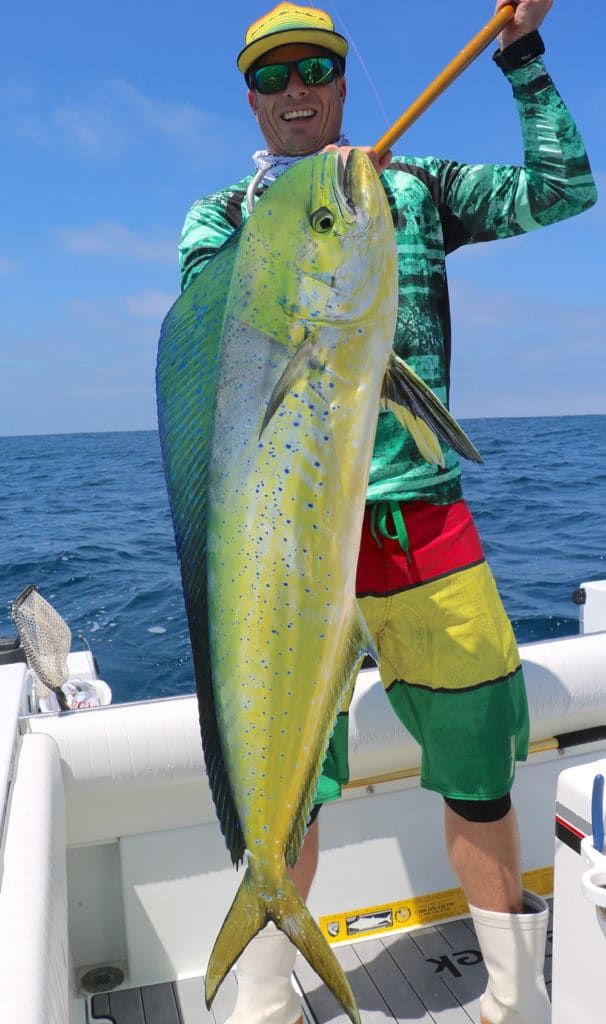 mahimahi catch