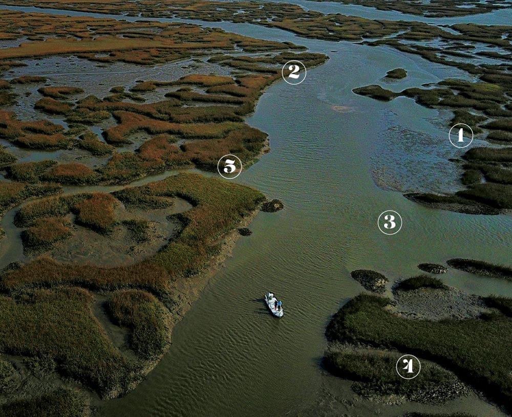best marsh fishing spots