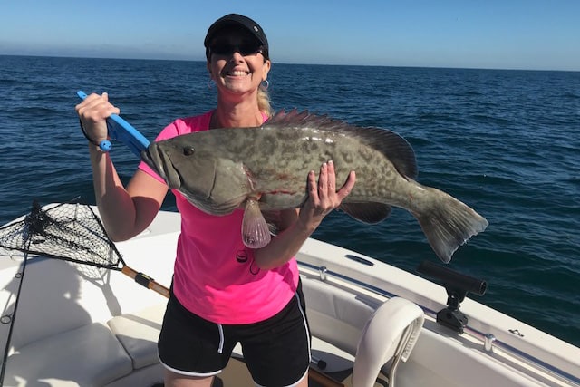 grouper catch