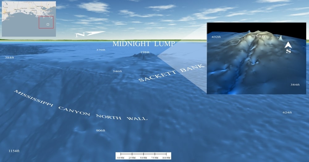 3D contour map of Louisiana's Midnight Lump