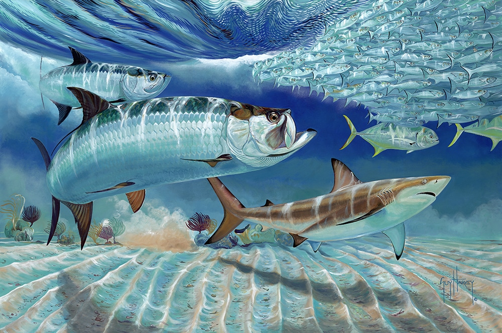 Guy Harvey painting mullet run