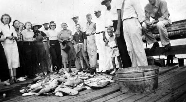 Vintage Florida fishing photo catch