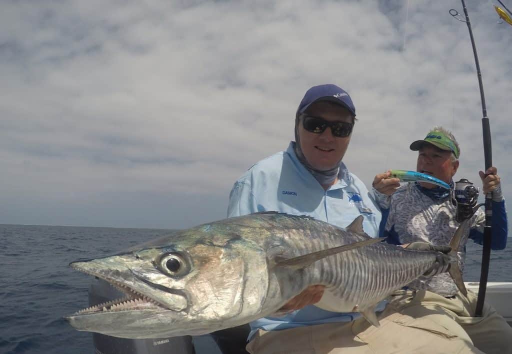 Fishing Australia's Great Barrier Reef — A big narrowbarred mackerel