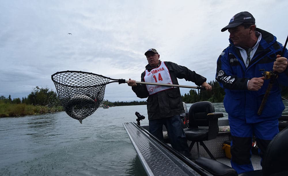 Captain Nets Kenai River Salmon