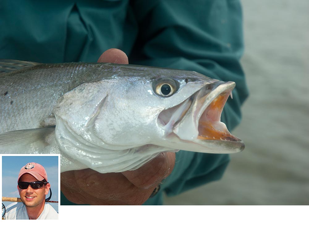Sharp teeth in seatrout's mouth