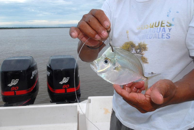 nicaragua tarpon_05.jpg