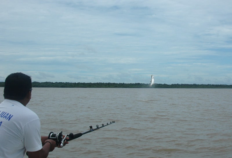 nicaragua tarpon_15.jpg