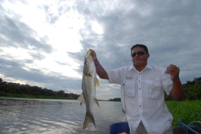 nicaragua tarpon_19.jpg