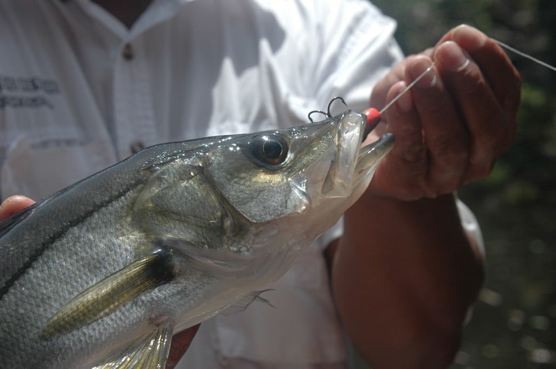 nicaragua tarpon_23.jpg