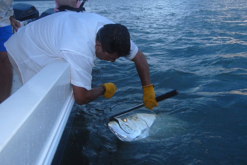 nicaragua tarpon_26.jpg