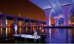 Tarpon fishing at night