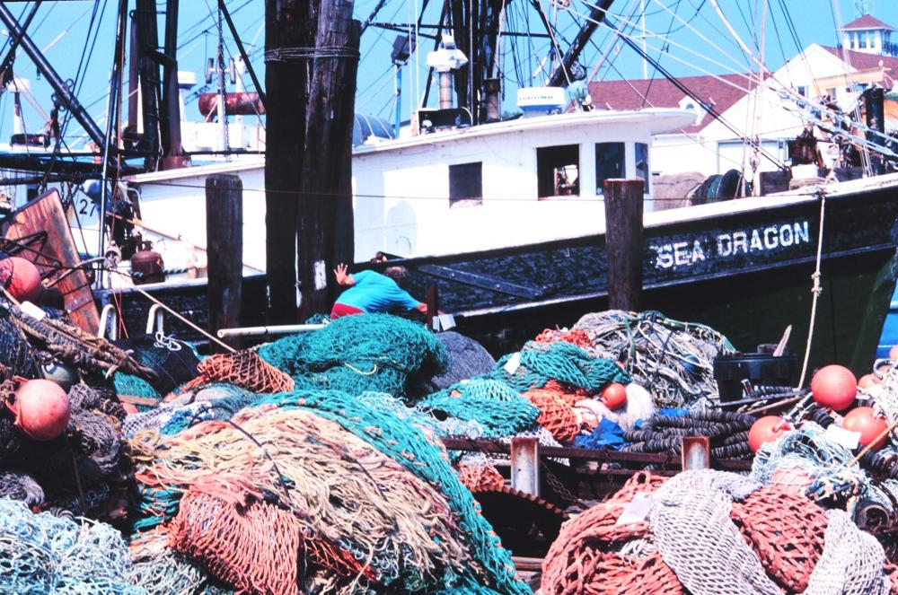 Purse seines line the dock