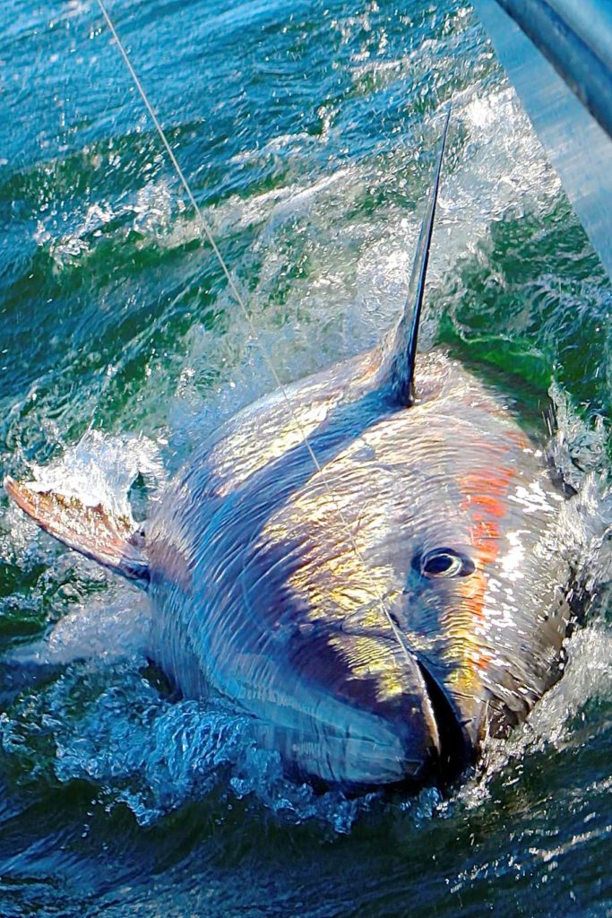 A How-To Guide for the Best of Ocean Isle: Fall Fishing