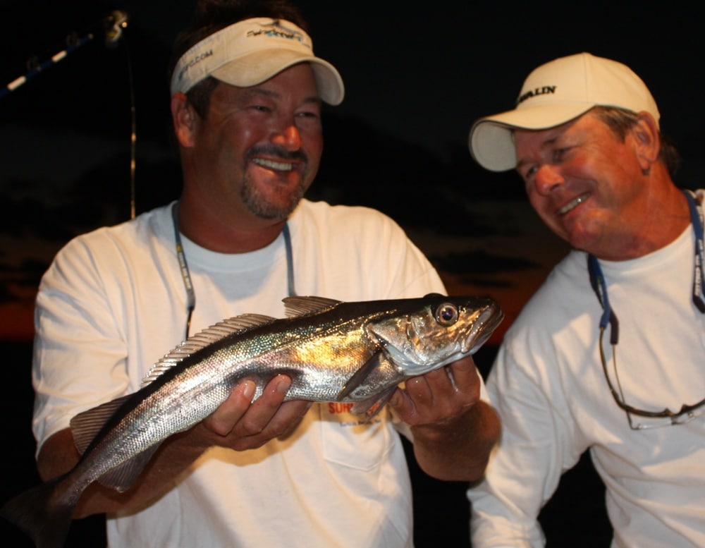 offshore hake, img_1184.jpg