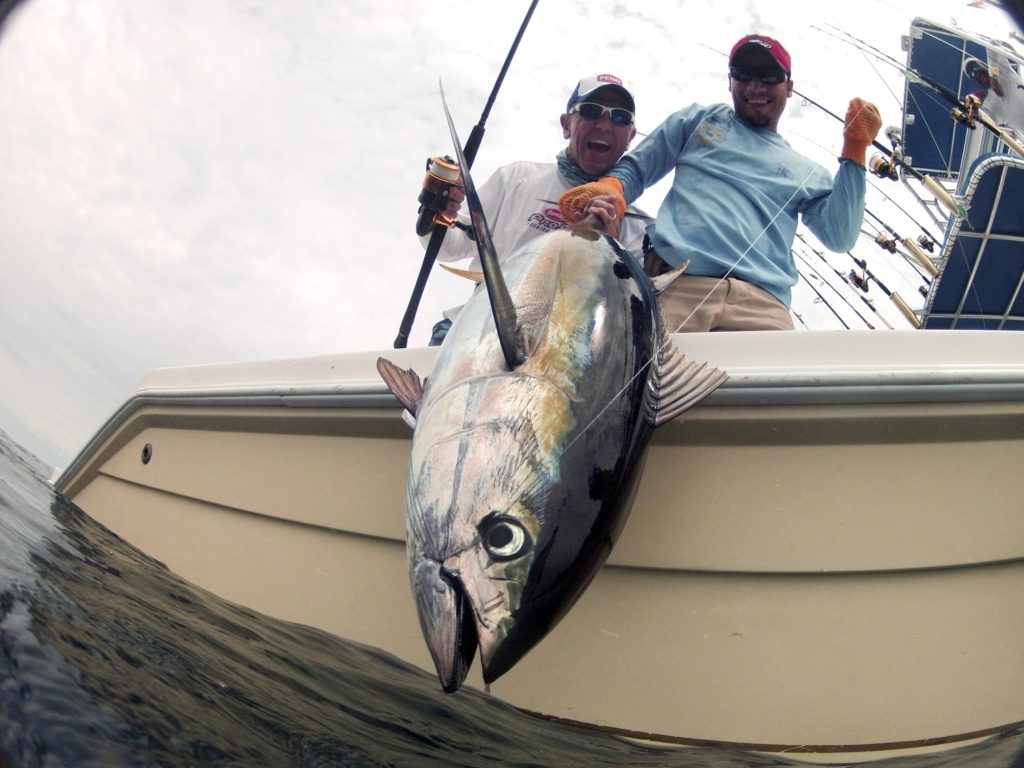 Yellowfin tuna comes aboard a Crocodile Bay Resort boat