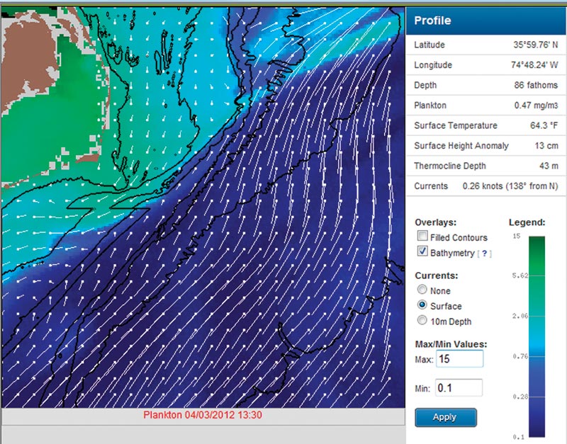 online-service-seastar1.jpg