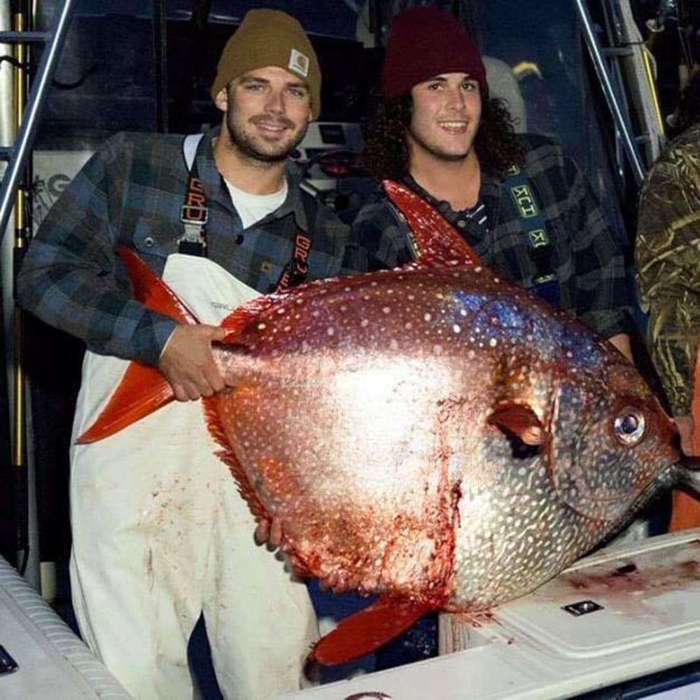 huge atlantic opah