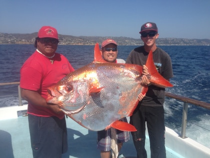 Anglers Catch a Rare Opah