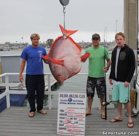 Anglers weigh in rare opah caught off Newport Beach