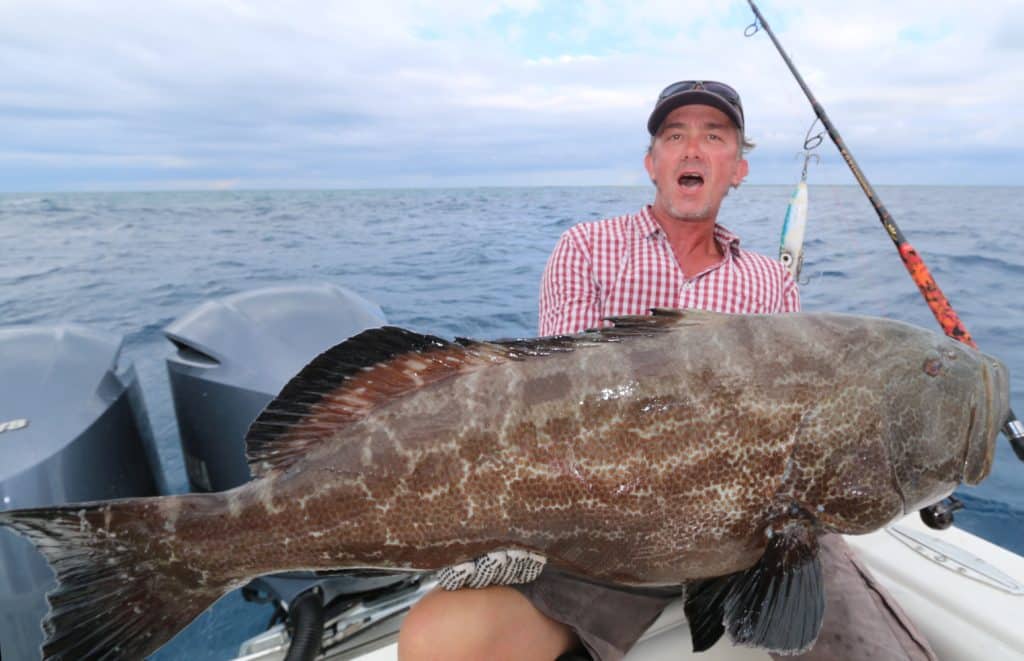 Huge black grouper on a stickbait