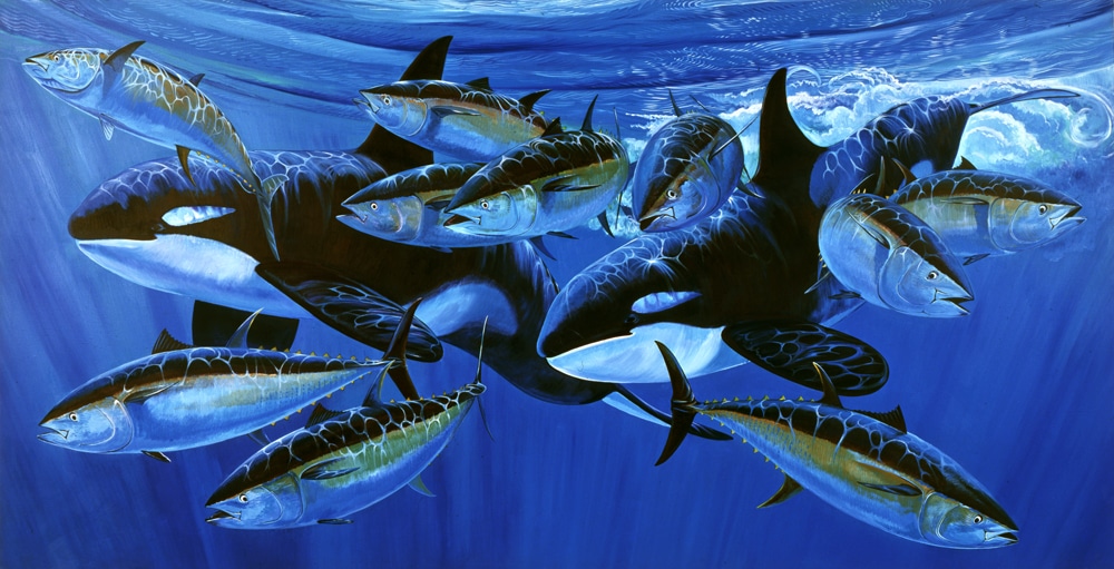 Guy Harvey painting orca blues