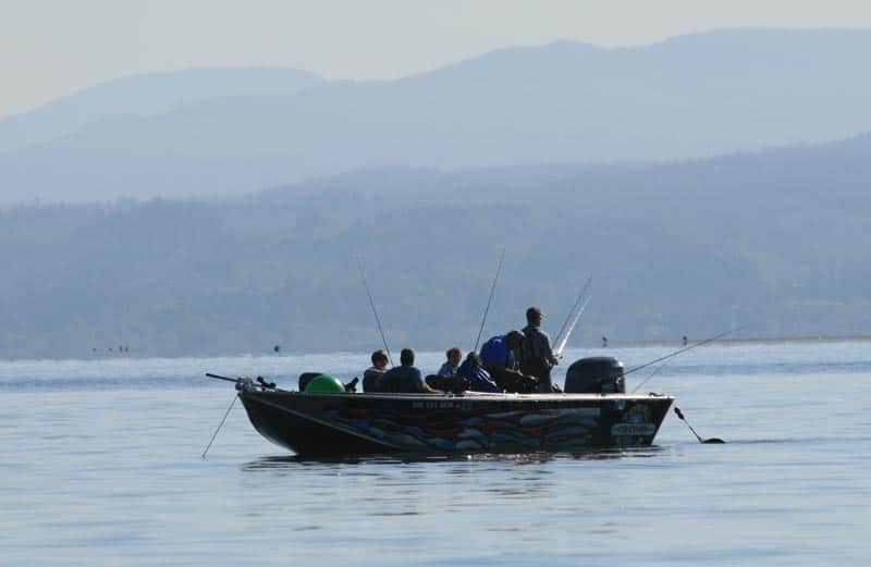 oregon sturgeon_02.jpg