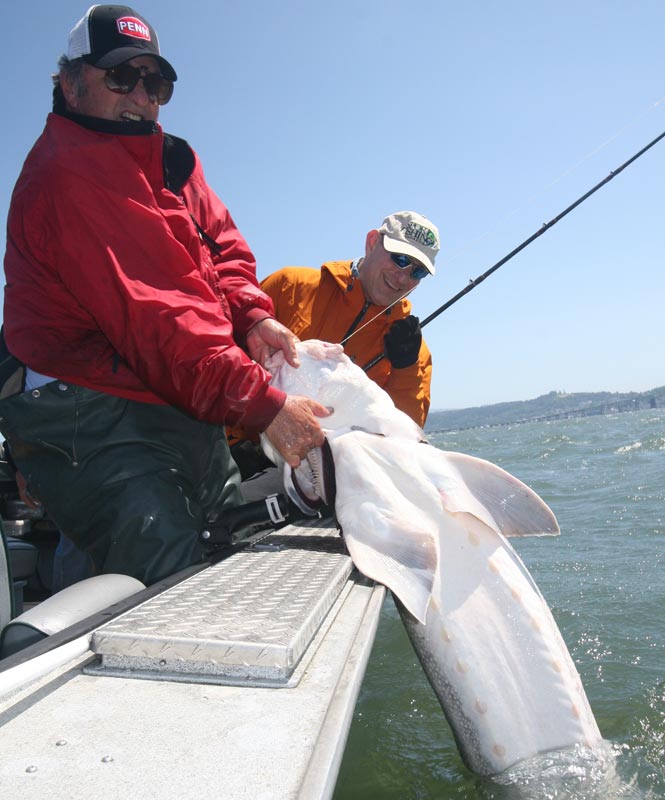 oregon sturgeon_08.jpg