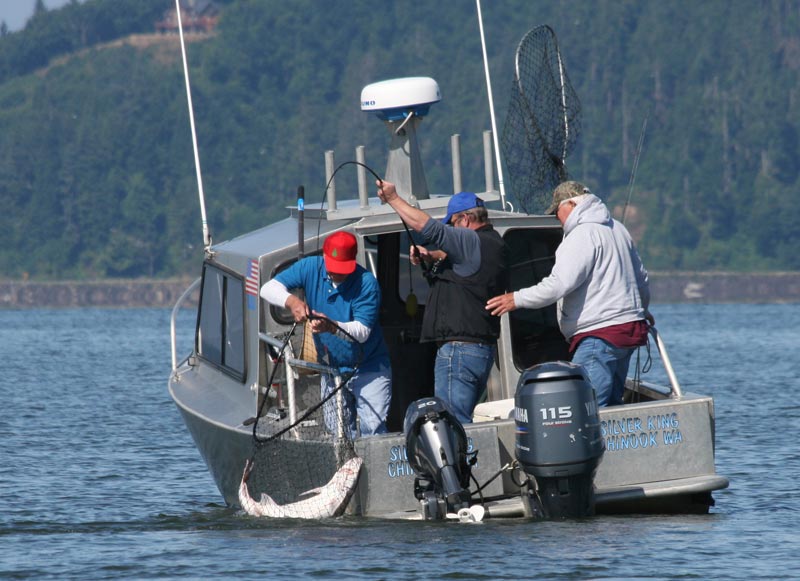 oregon sturgeon_09.jpg