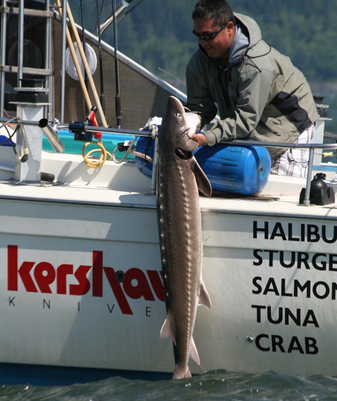 oregon sturgeon_10.jpg