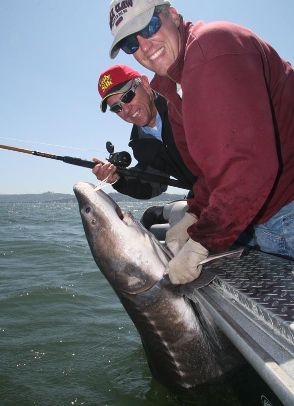 oregon sturgeon_11.jpg