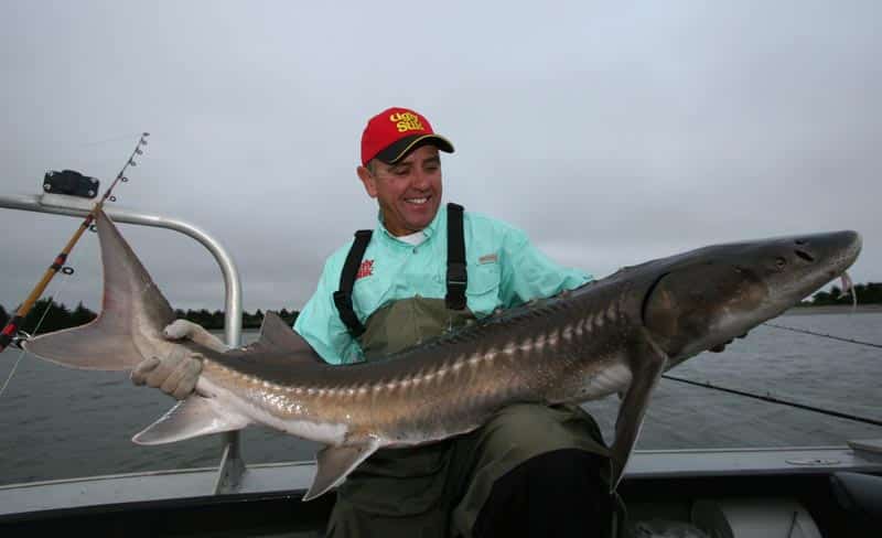 oregon sturgeon_12.jpg