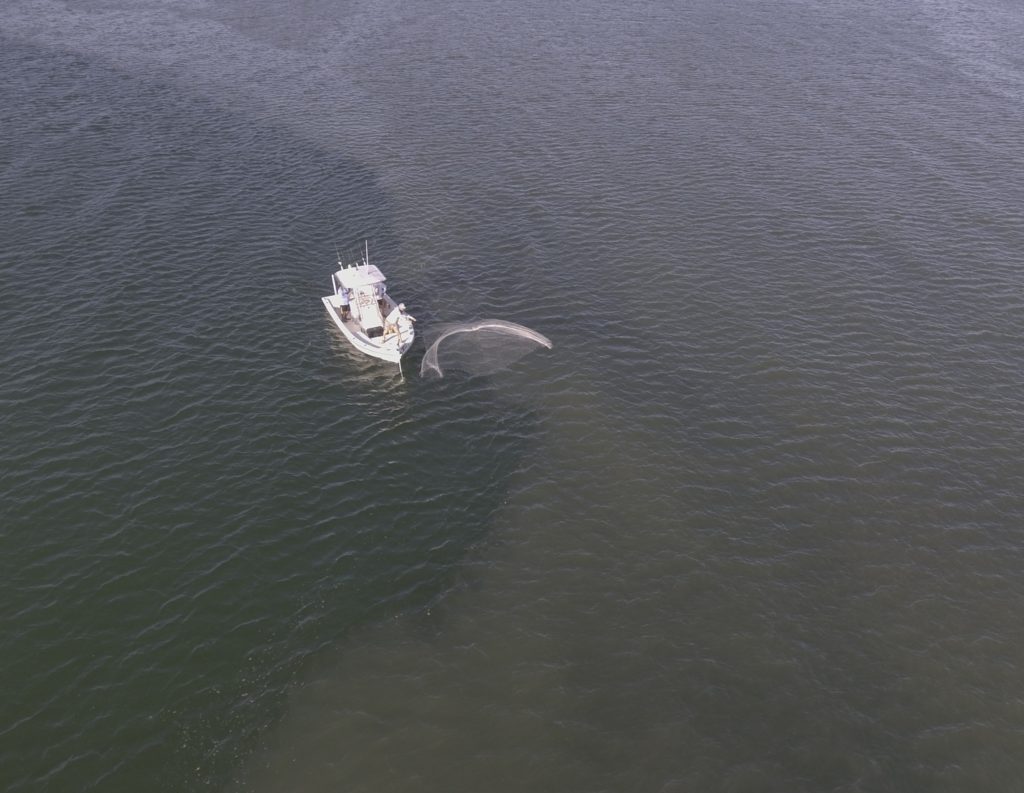 Drones and fishing -- castnetting bait fish