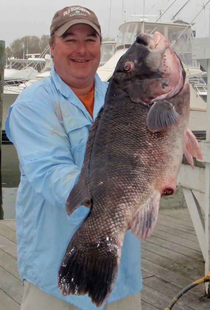 Dr. Ken Neill with trophy tautog