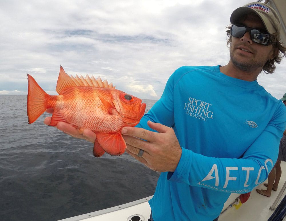 Gulf of Mexico Fishing Excitement at Panama City