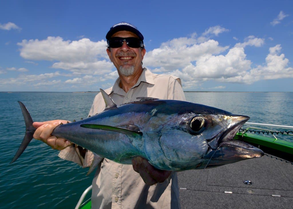 Longtail tuna, Australia