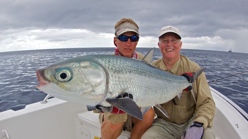 a trophy milkfish