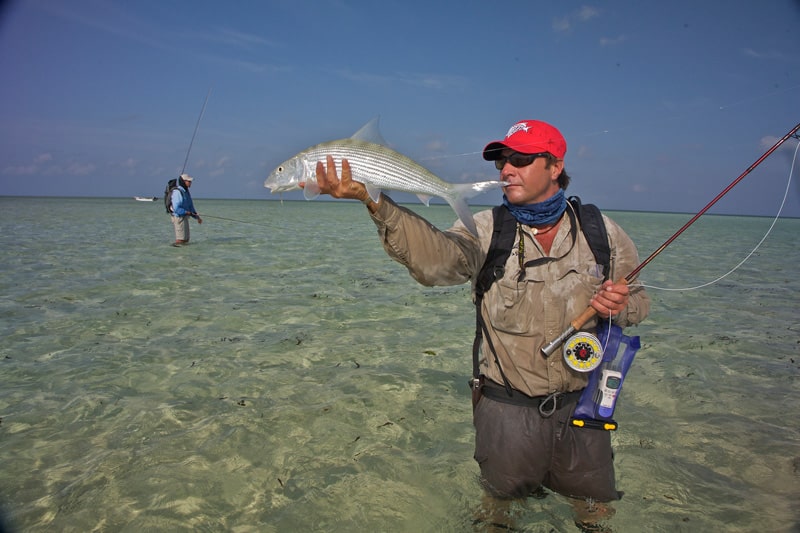 Seychelles bonefish