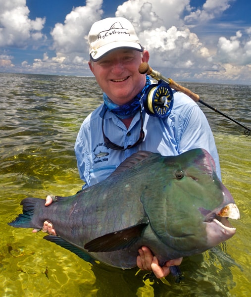 Bumphead parrotfish