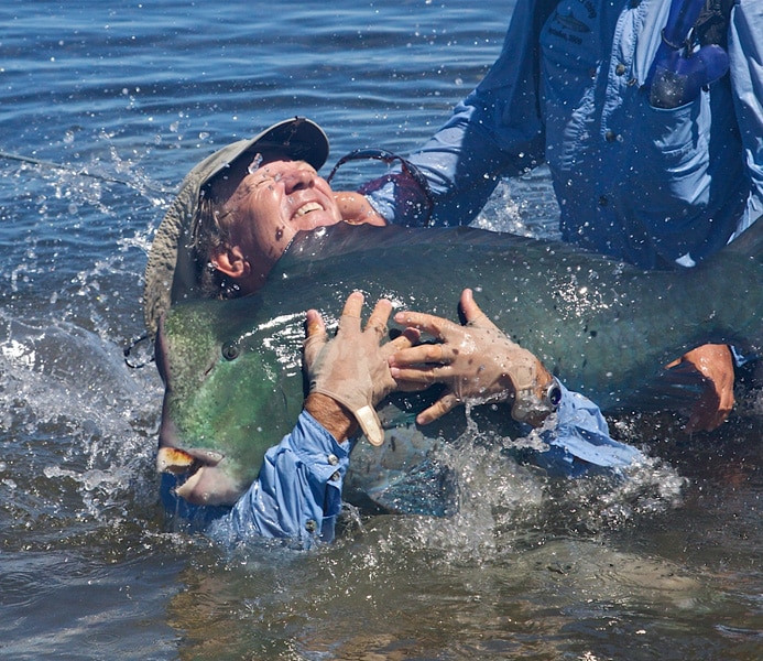 Bumped parrotfish