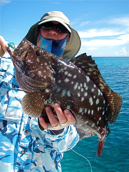 fancy grouper