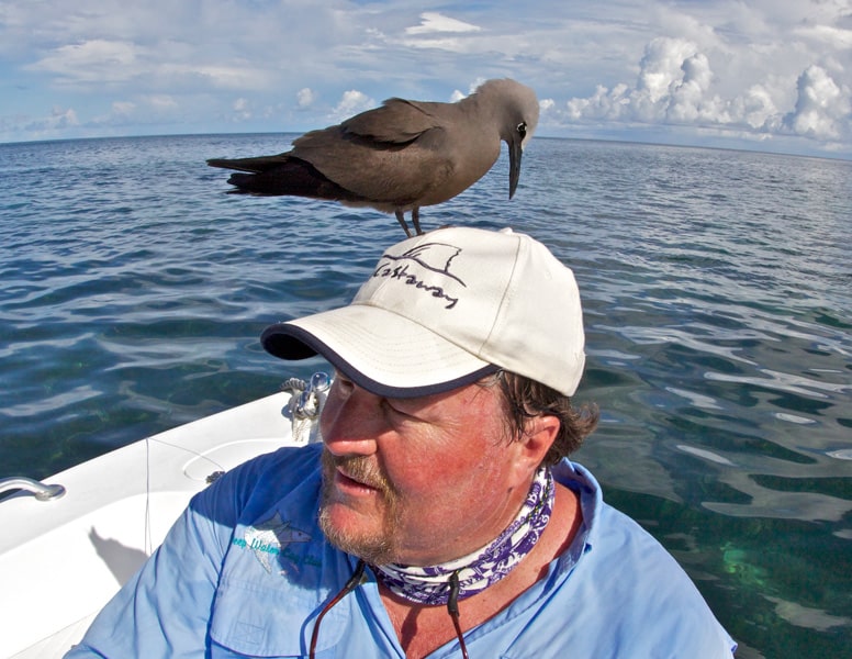 bird on man's head