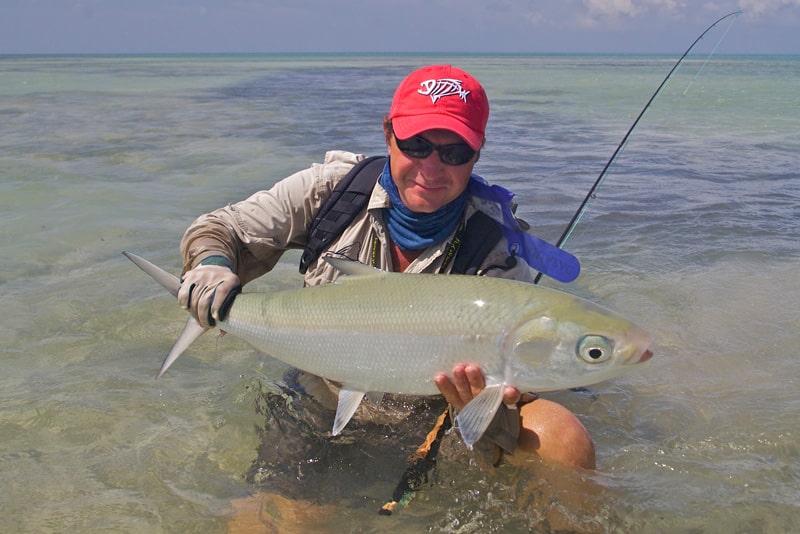 Seychelles big milkfish